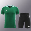 Conjunto Adidas 10